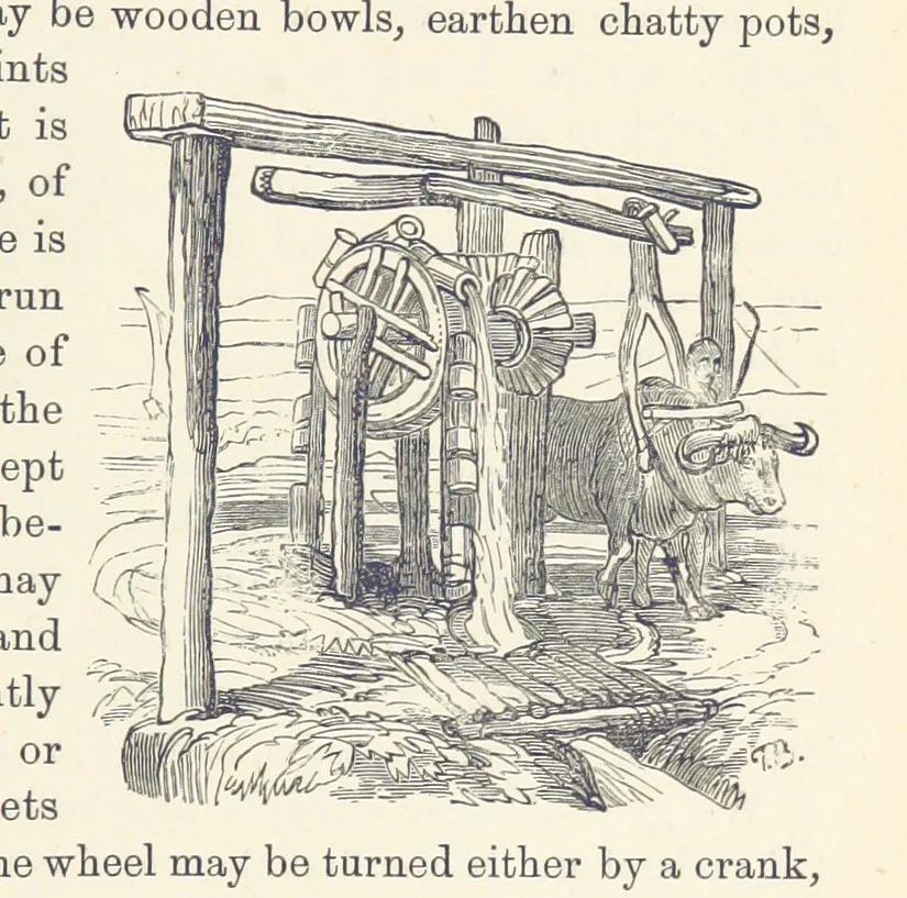 An illustration from Shifts and Expedients of Camp Life, Travels, etc, 1876, leaf 491