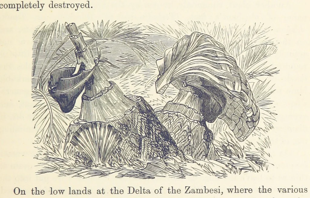 An illustration from Shifts and Expedients of Camp Life, Travels, etc, 1876, leaf 499