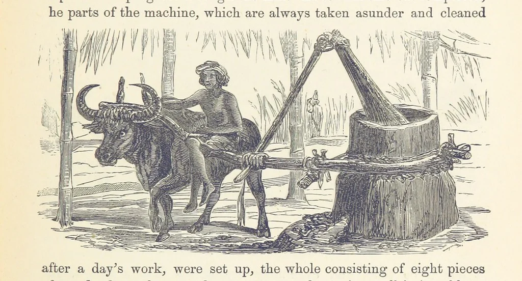 An illustration from Shifts and Expedients of Camp Life, Travels, etc, 1876, leaf 523