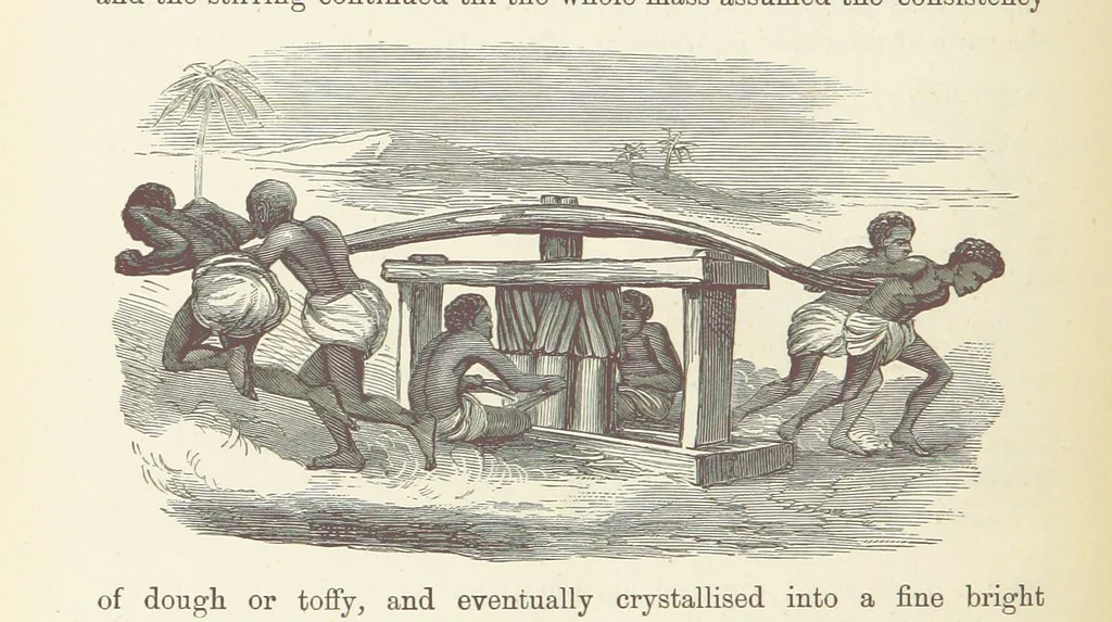 An illustration from Shifts and Expedients of Camp Life, Travels, etc, 1876, leaf 524