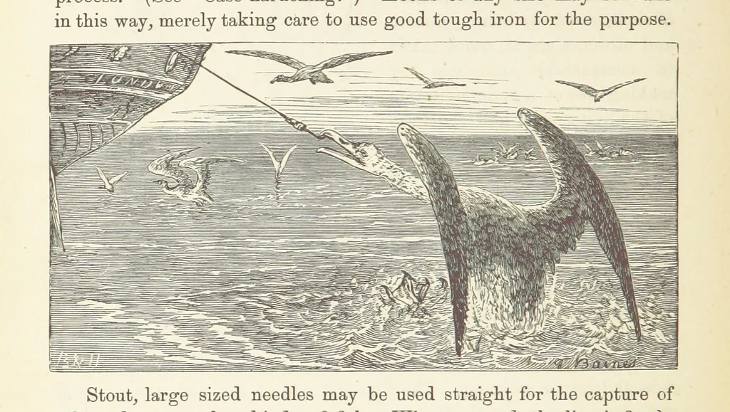 An illustration from Shifts and Expedients of Camp Life, Travels, etc, 1876, leaf 558