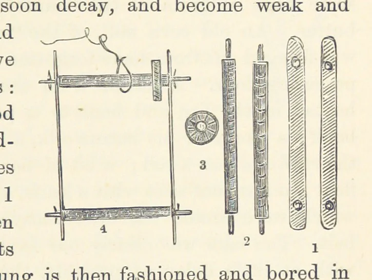 An illustration from Shifts and Expedients of Camp Life, Travels, etc, 1876, leaf 559