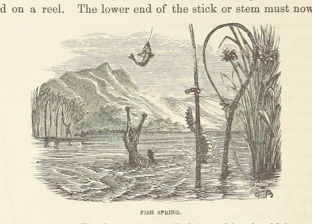 An illustration from Shifts and Expedients of Camp Life, Travels, etc, 1876, leaf 562