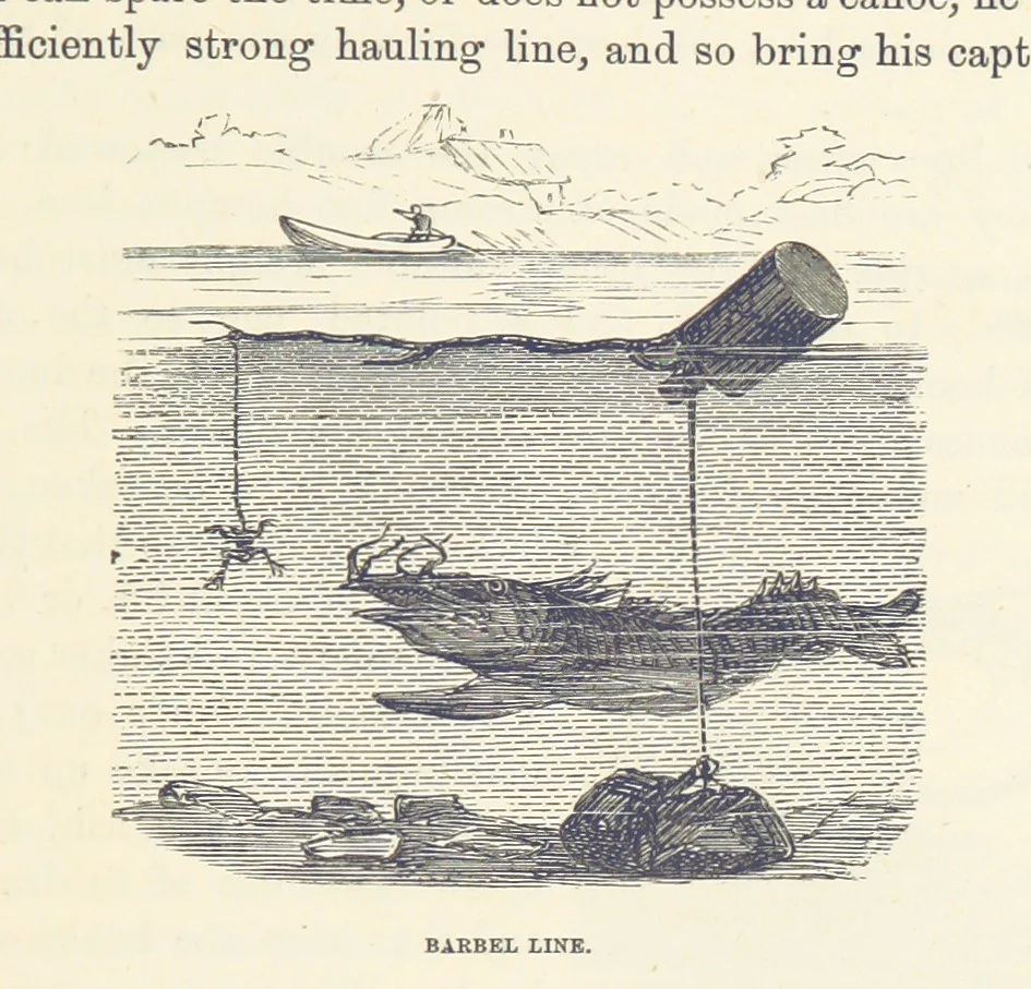An illustration from Shifts and Expedients of Camp Life, Travels, etc, 1876, leaf 563