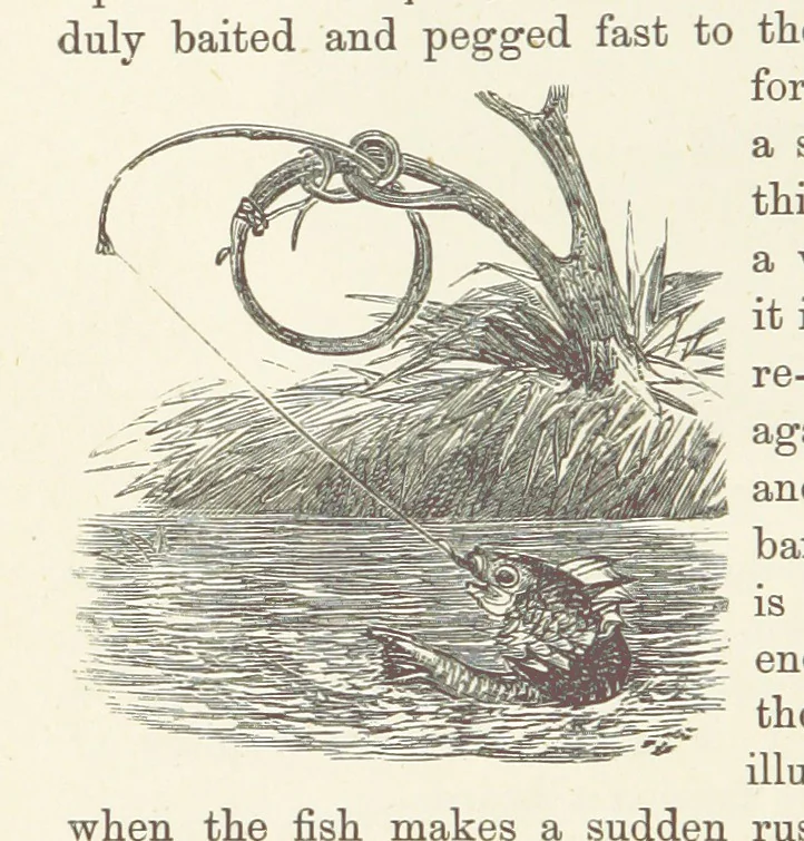 An illustration from Shifts and Expedients of Camp Life, Travels, etc, 1876, leaf 564