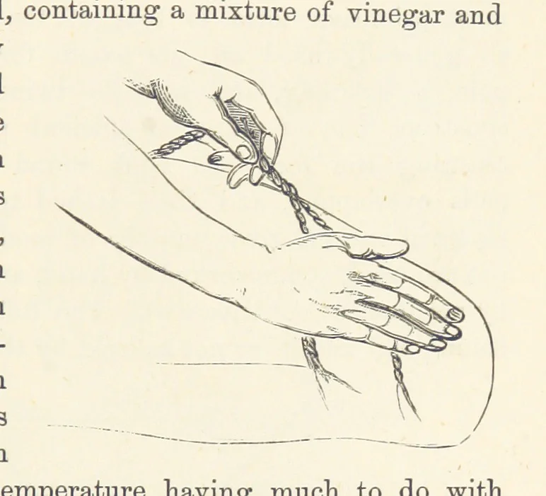 An illustration from Shifts and Expedients of Camp Life, Travels, etc, 1876, leaf 569