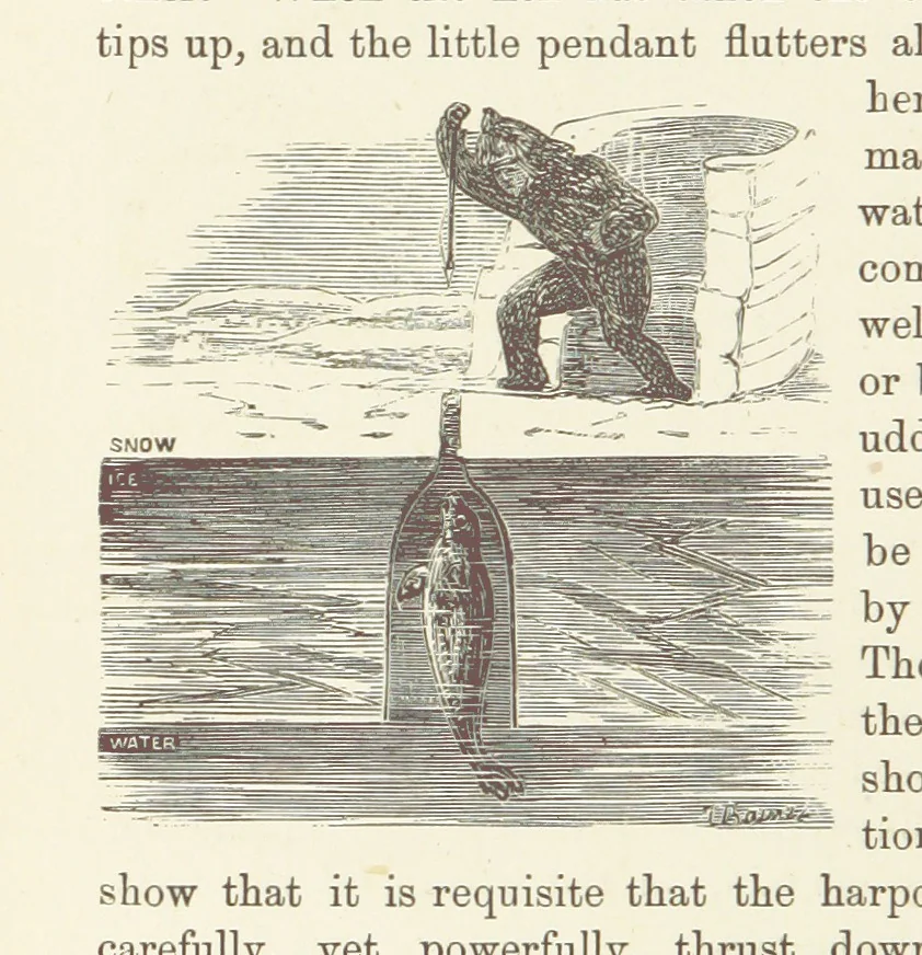 An illustration from Shifts and Expedients of Camp Life, Travels, etc, 1876, leaf 572