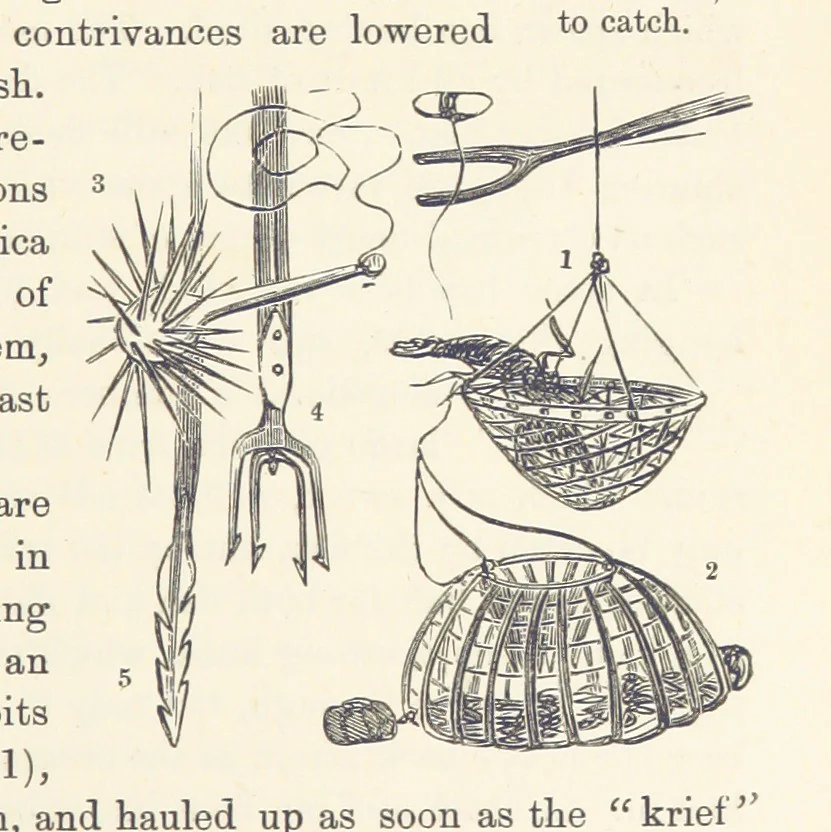 An illustration from Shifts and Expedients of Camp Life, Travels, etc, 1876, leaf 573