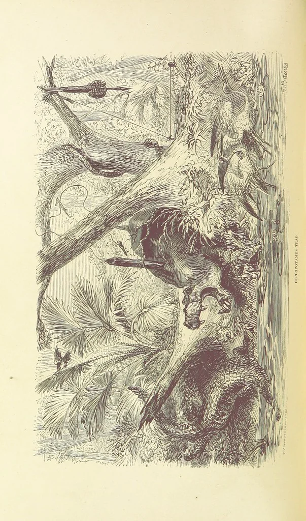 An illustration from Shifts and Expedients of Camp Life, Travels, etc, 1876, leaf 582
