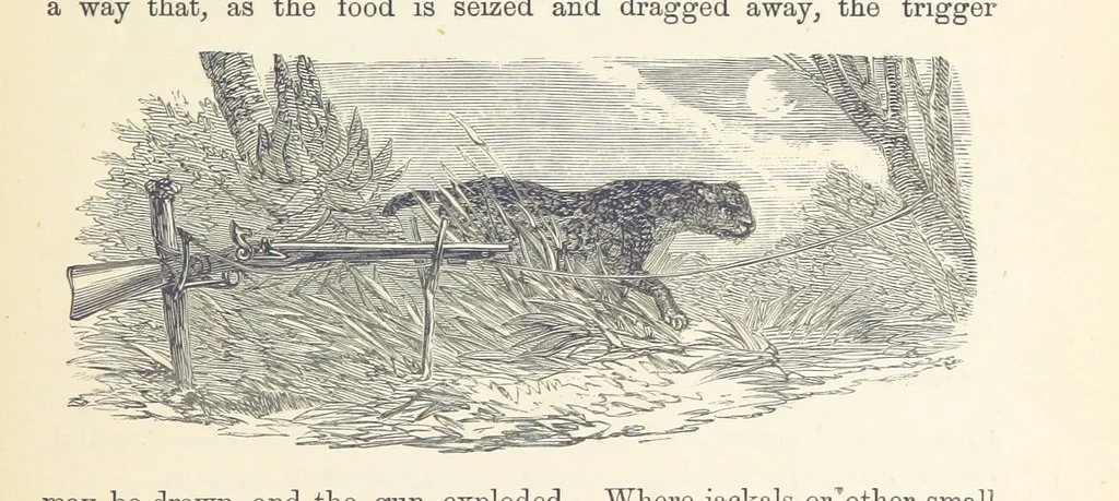 An illustration from Shifts and Expedients of Camp Life, Travels, etc, 1876, leaf 617