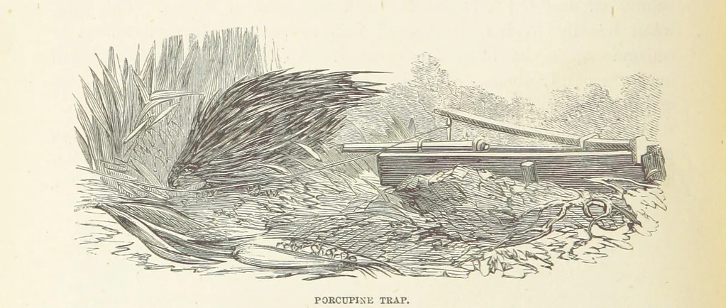 An illustration from Shifts and Expedients of Camp Life, Travels, etc, 1876, leaf 618