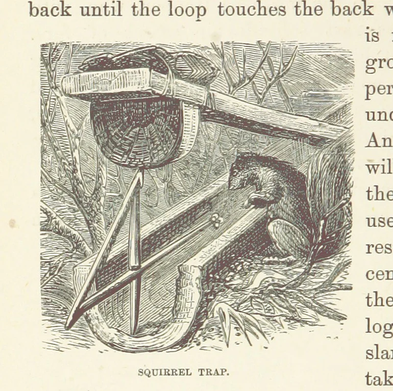 An illustration from Shifts and Expedients of Camp Life, Travels, etc, 1876, leaf 624