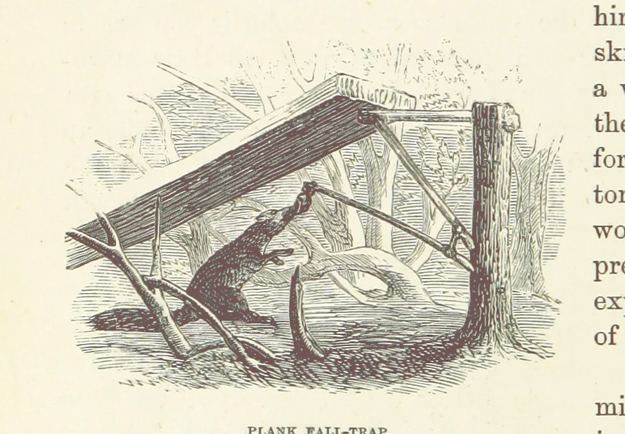 An illustration from Shifts and Expedients of Camp Life, Travels, etc, 1876, leaf 624