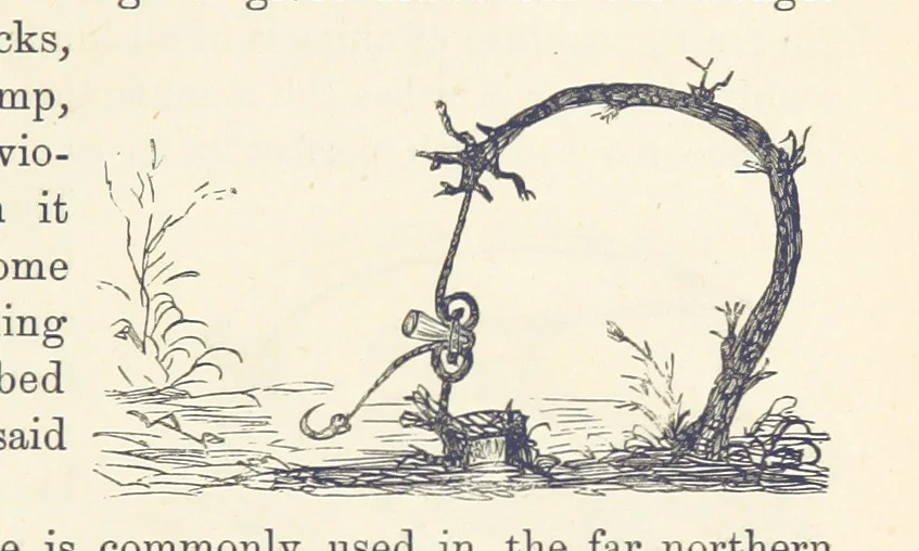 An illustration from Shifts and Expedients of Camp Life, Travels, etc, 1876, leaf 625