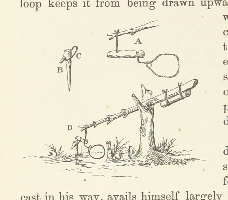 An illustration from Shifts and Expedients of Camp Life, Travels, etc, 1876, leaf 626