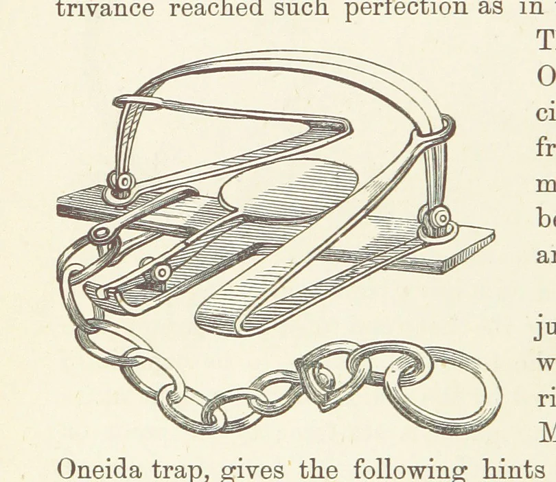An illustration from Shifts and Expedients of Camp Life, Travels, etc, 1876, leaf 626