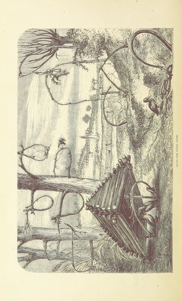 An illustration from Shifts and Expedients of Camp Life, Travels, etc, 1876, leaf 634