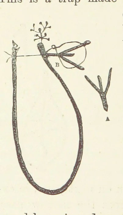 An illustration from Shifts and Expedients of Camp Life, Travels, etc, 1876, leaf 636