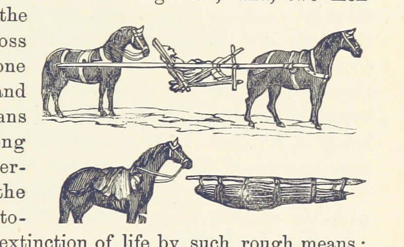 An illustration from Shifts and Expedients of Camp Life, Travels, etc, 1876, leaf 647
