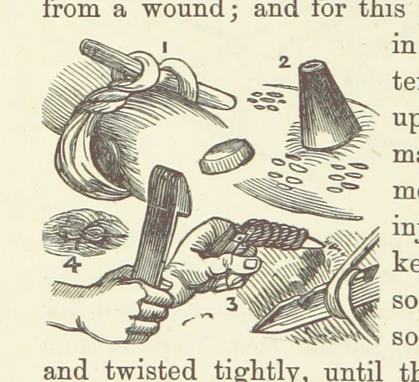 An illustration from Shifts and Expedients of Camp Life, Travels, etc, 1876, leaf 656