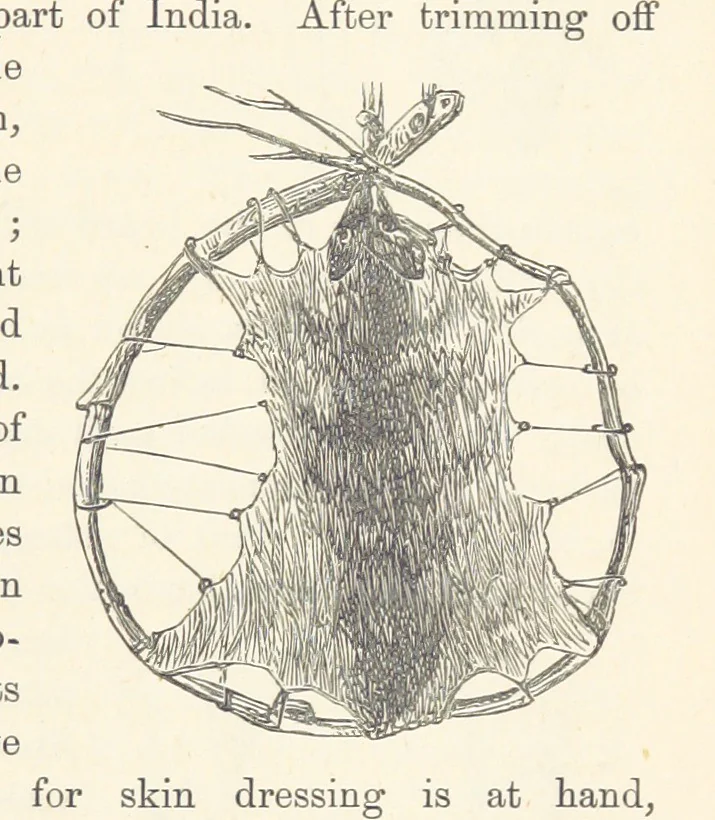 An illustration from Shifts and Expedients of Camp Life, Travels, etc, 1876, leaf 723