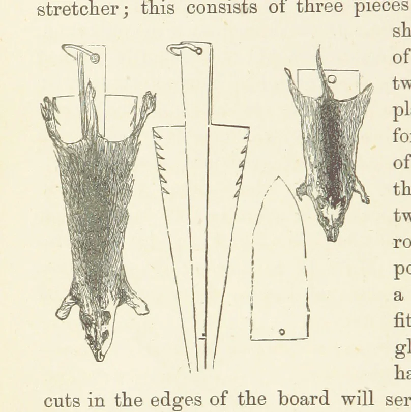 An illustration from Shifts and Expedients of Camp Life, Travels, etc, 1876, leaf 724
