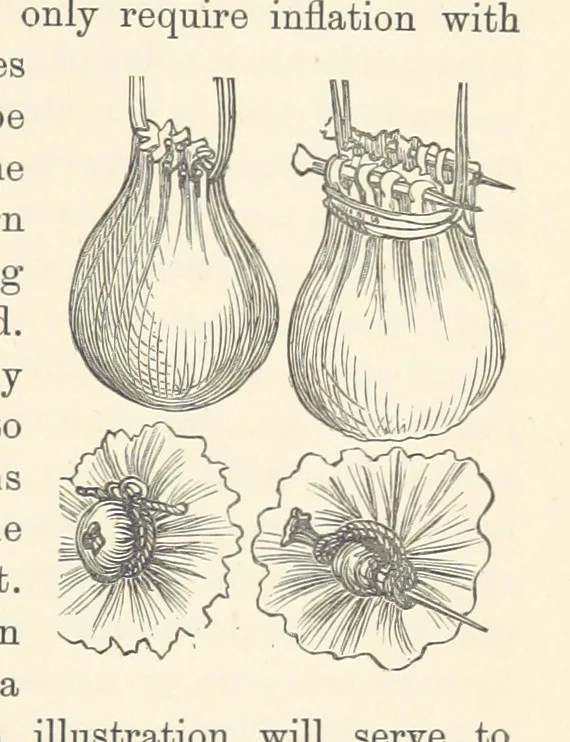 An illustration from Shifts and Expedients of Camp Life, Travels, etc, 1876, leaf 729