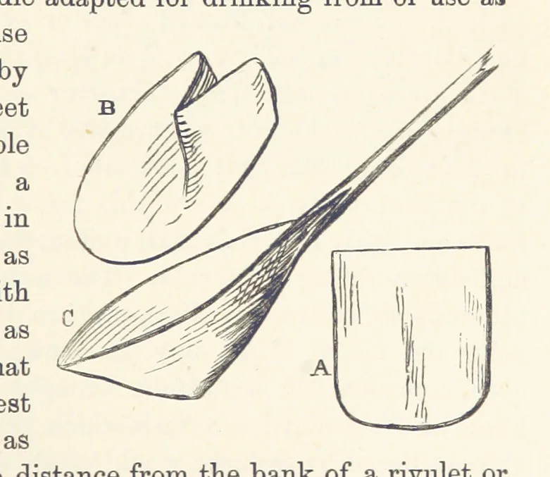 An illustration from Shifts and Expedients of Camp Life, Travels, etc, 1876, leaf 735