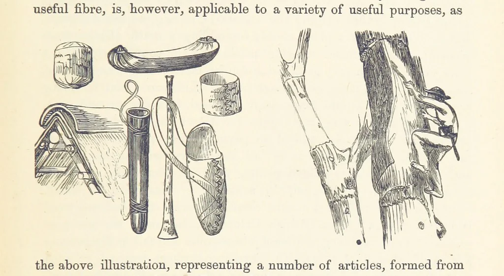 An illustration from Shifts and Expedients of Camp Life, Travels, etc, 1876, leaf 735