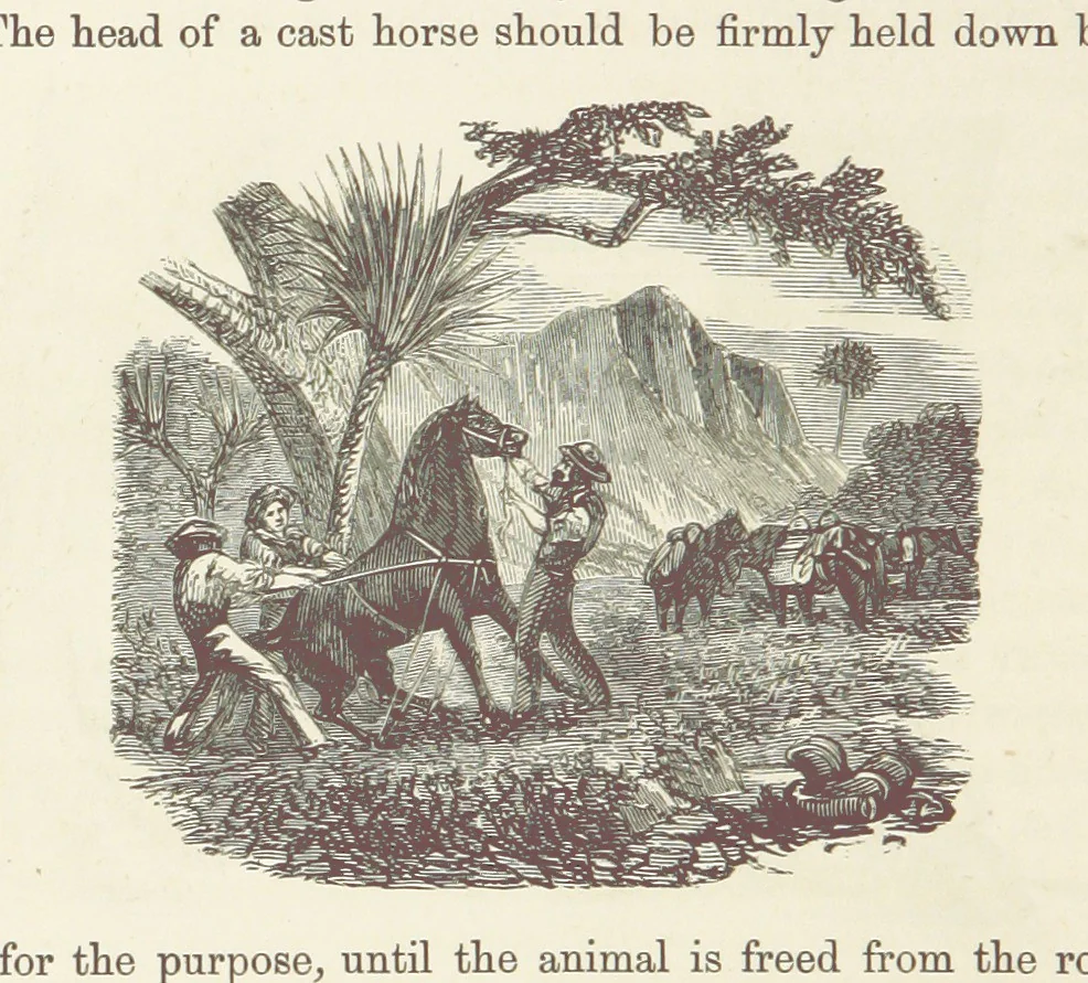 An illustration from Shifts and Expedients of Camp Life, Travels, etc, 1876, leaf 746