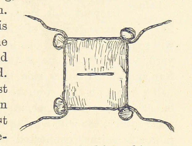 An illustration from Shifts and Expedients of Camp Life, Travels, etc, 1876, leaf 99