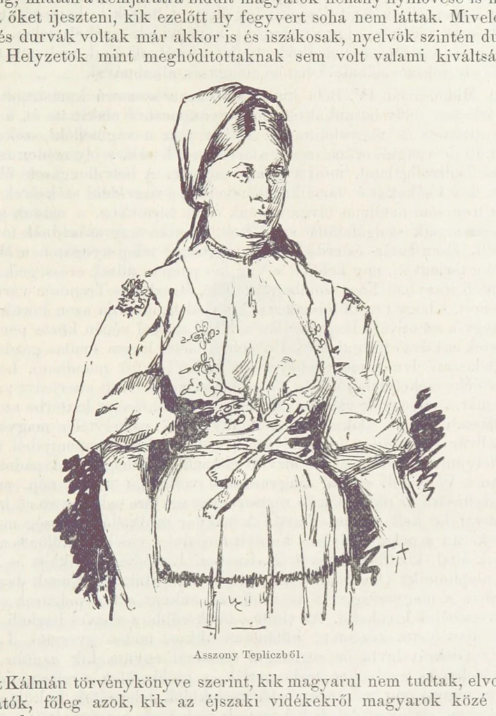 An illustration from A Vág és vidéke topographiai leirás, egyszersmind kalauz a Vág-völgyben utazók ... számára. ... 54 eredeti képpel. Kiadta L. Gy, 1881, leaf 41