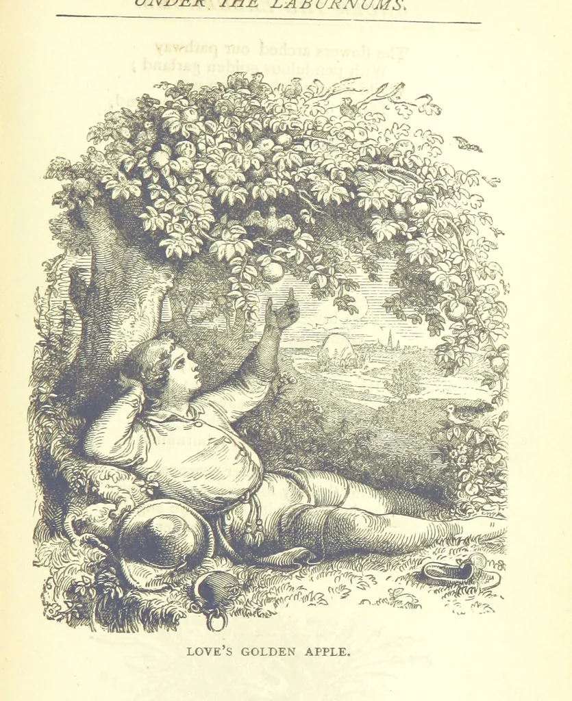 An illustration from Love Lyrics and Valentine Verses, for young and old. [E. M. Davies. With illustrations, 1875, leaf 109