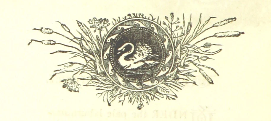 An illustration from Love Lyrics and Valentine Verses, for young and old. [E. M. Davies. With illustrations, 1875, leaf 110