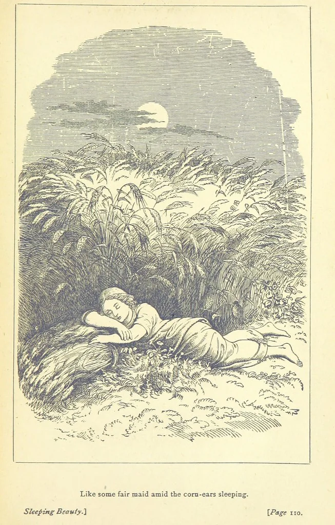 An illustration from Love Lyrics and Valentine Verses, for young and old. [E. M. Davies. With illustrations, 1875, leaf 151