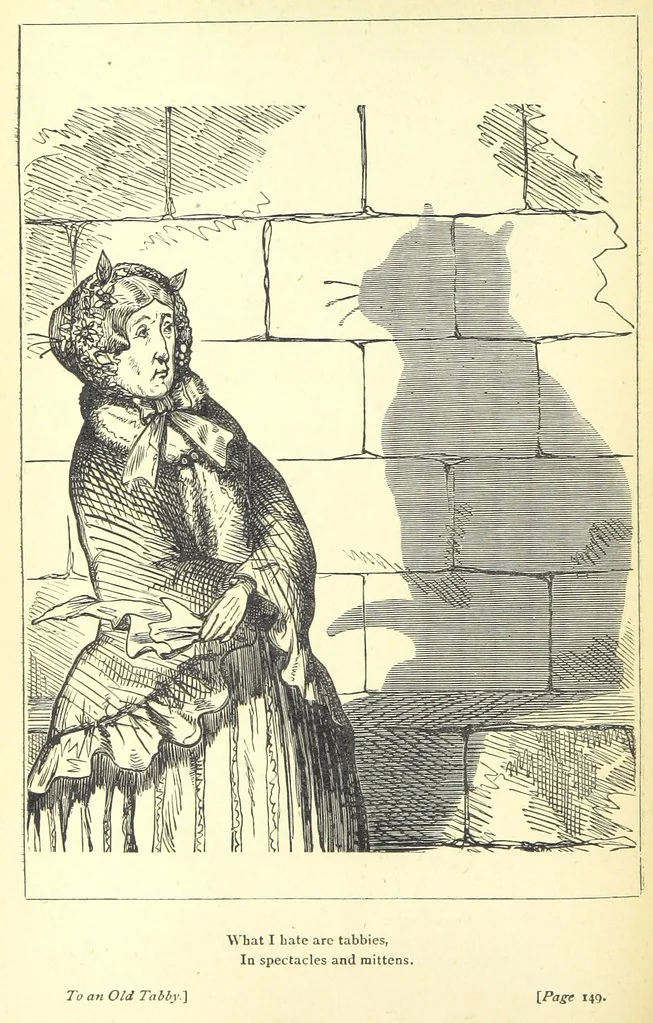 An illustration from Love Lyrics and Valentine Verses, for young and old. [E. M. Davies. With illustrations, 1875, leaf 200