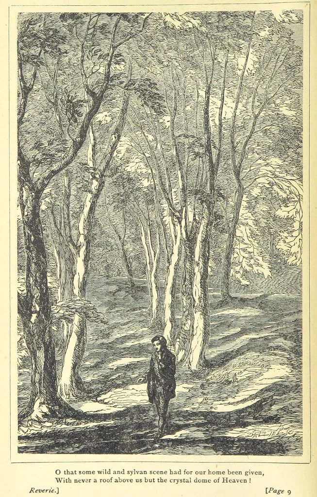 An illustration from Love Lyrics and Valentine Verses, for young and old. [E. M. Davies. With illustrations, 1875, leaf 26