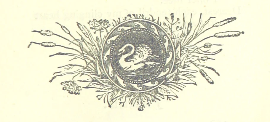 An illustration from Love Lyrics and Valentine Verses, for young and old. [E. M. Davies. With illustrations, 1875, leaf 389