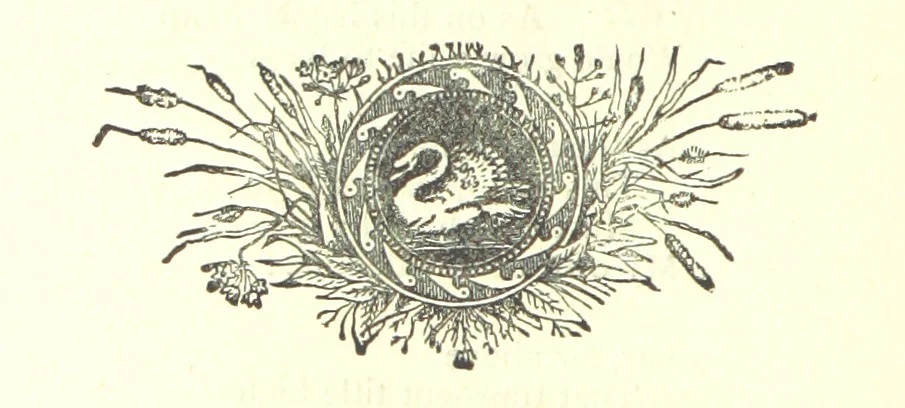 An illustration from Love Lyrics and Valentine Verses, for young and old. [E. M. Davies. With illustrations, 1875, leaf 410
