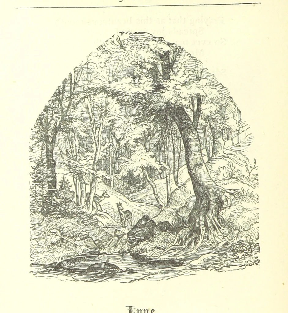 An illustration from Love Lyrics and Valentine Verses, for young and old. [E. M. Davies. With illustrations, 1875, leaf 422