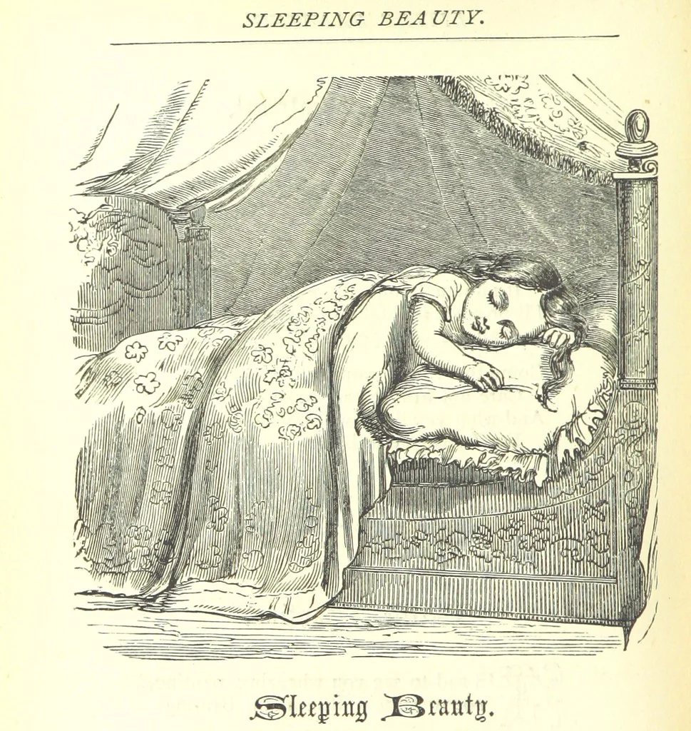 An illustration from Love Lyrics and Valentine Verses, for young and old. [E. M. Davies. With illustrations, 1875, leaf 534