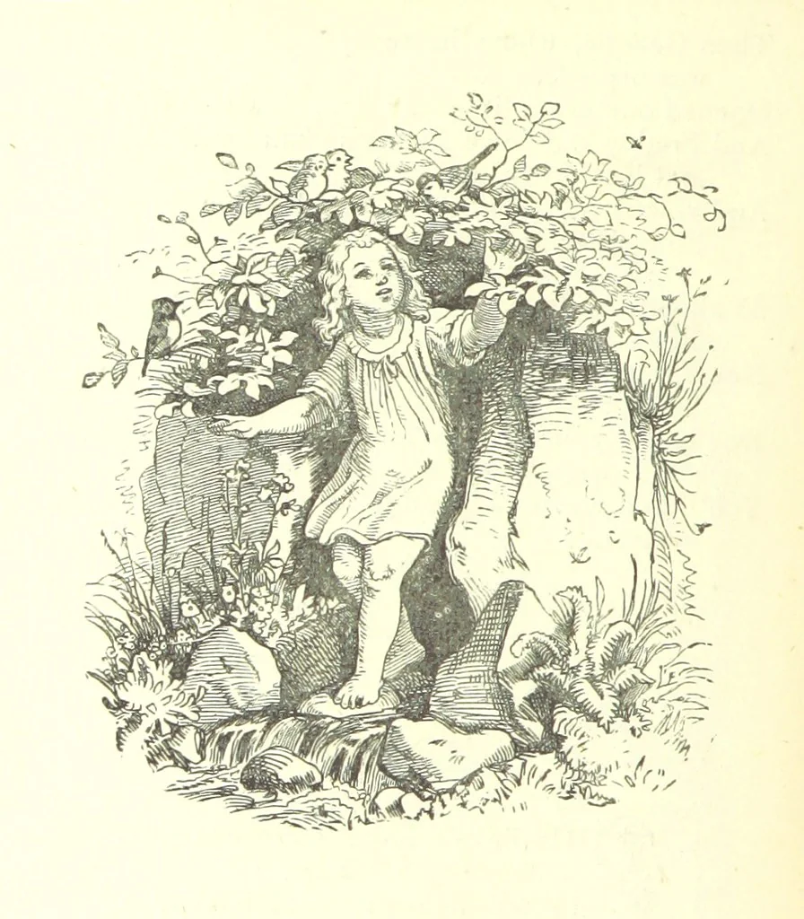 An illustration from Love Lyrics and Valentine Verses, for young and old. [E. M. Davies. With illustrations, 1875, leaf 564