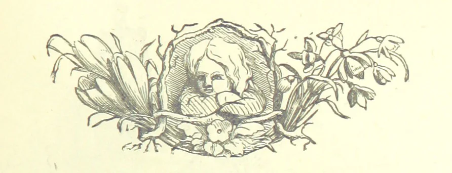 An illustration from Love Lyrics and Valentine Verses, for young and old. [E. M. Davies. With illustrations, 1875, leaf 565
