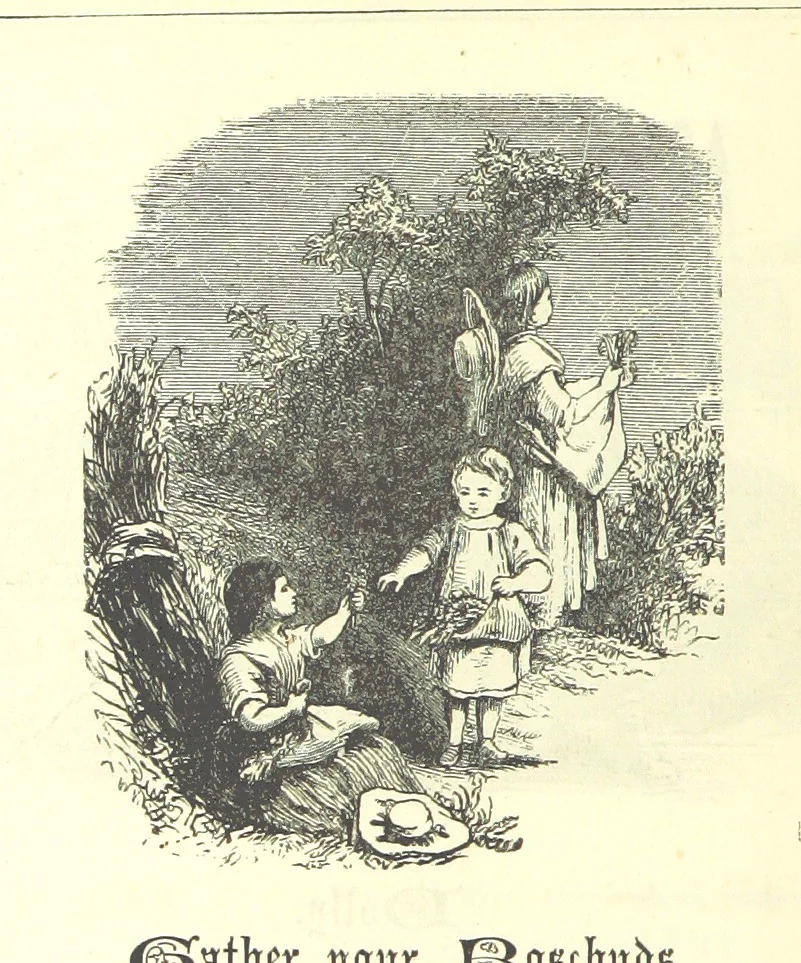 An illustration from Love Lyrics and Valentine Verses, for young and old. [E. M. Davies. With illustrations, 1875, leaf 602