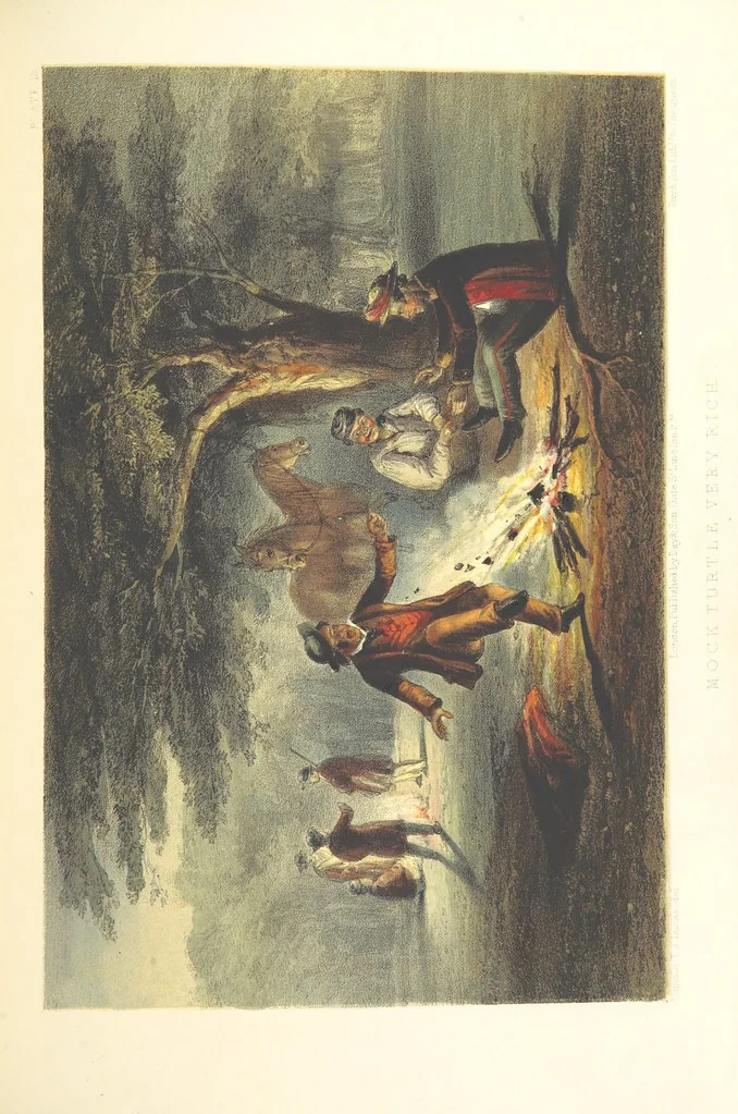 An illustration from Pen and pencil reminiscences of a campaign in South Africa ... Illustrated with ... colour-tinted lithographs, 1861, leaf 101
