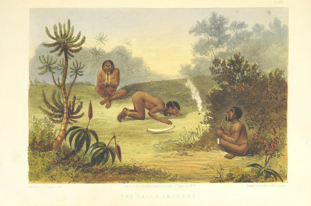 An illustration from Pen and pencil reminiscences of a campaign in South Africa ... Illustrated with ... colour-tinted lithographs, 1861, leaf 33