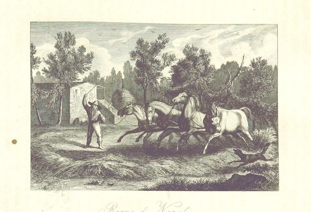 An illustration from C. Frommel's pittoreskes Italien. Nach dessen Original-Gemälden und Zeichnungen. Die Scenen aus dem Volksleben nach Zeichnungen von Catel, Gail, Goetzloff, Mosbrugger, Weller, Pinelli, etc. In Stahl gestochen von C. Frommel und H. Winkler. Text für Ober-Italien von W. von Lüdemann, Unter-Italien von C. Witte, etc, 1840, leaf 657