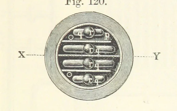 An illustration from Coal-tar and Ammonia. Being the second and enlarged edition of “A treatise on the distillation of Coal-tar and Ammonical Liquor.”, 1887, leaf 485