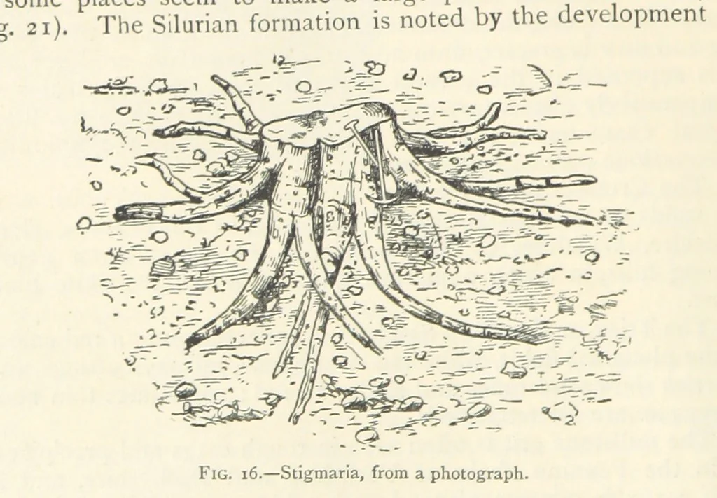 An illustration from Mining. An elementary treatise on the getting of minerals, 1893, leaf 44