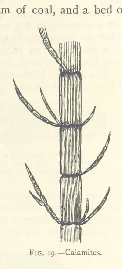An illustration from Mining. An elementary treatise on the getting of minerals, 1893, leaf 45